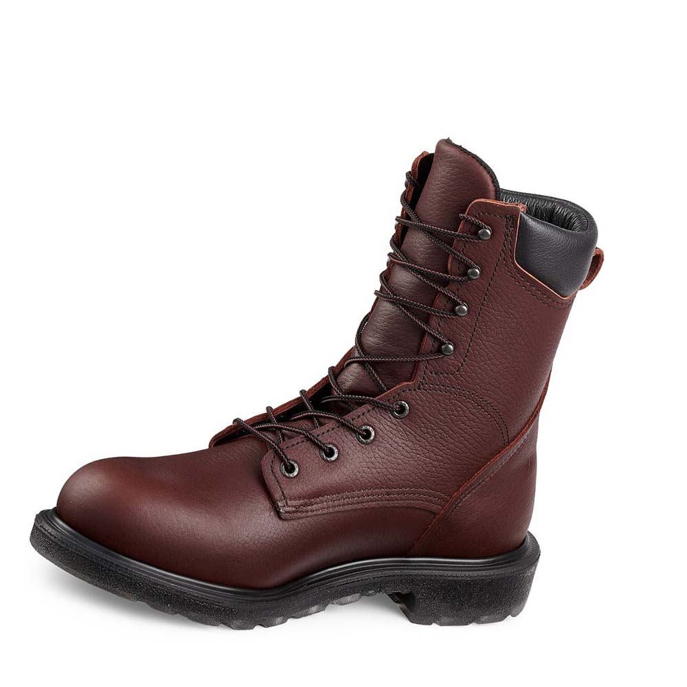 Red Wing SuperSole® 2.0 8-inch Soft Toe Men's Work Boots Burgundy | ZA 69CTV